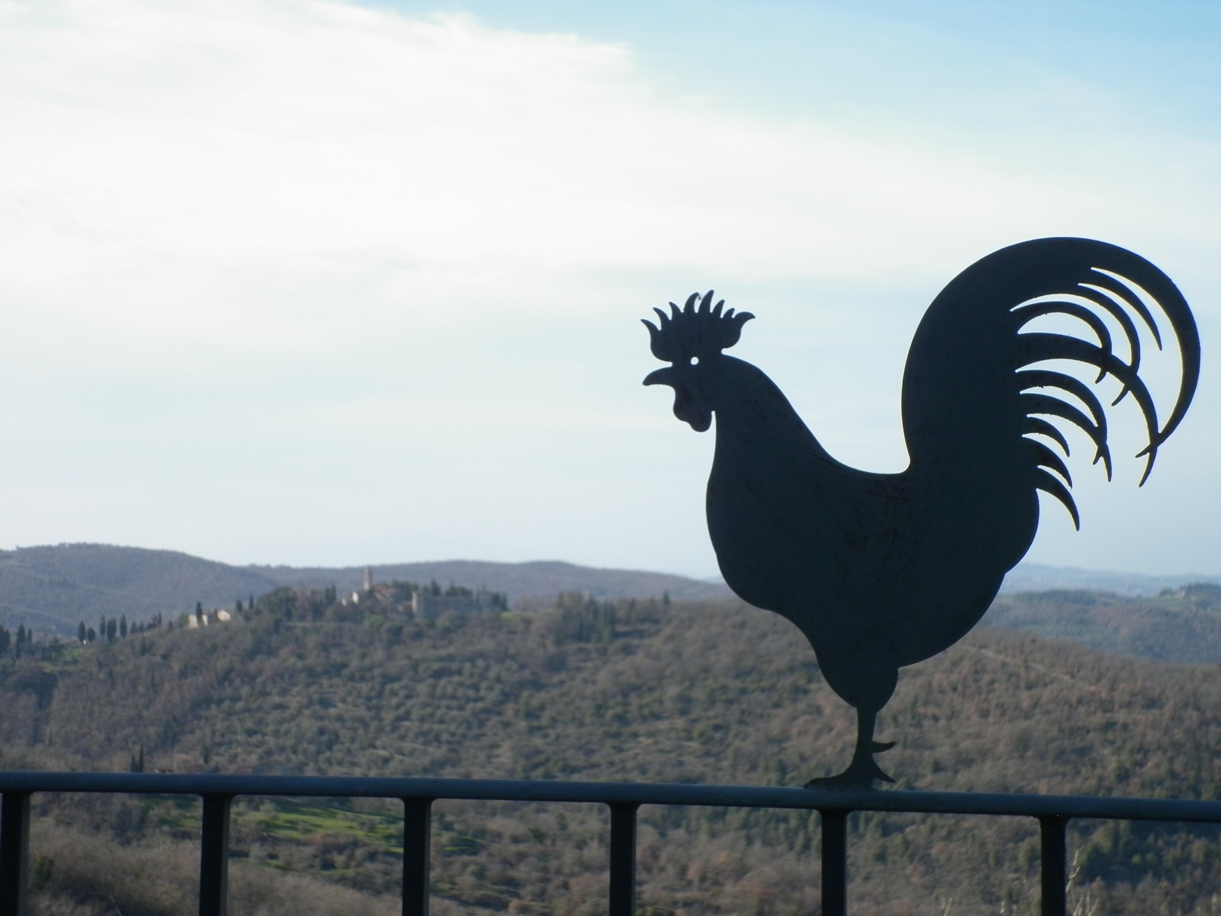 Villa Sant'Uberto Country Inn Radda in Chianti Εξωτερικό φωτογραφία