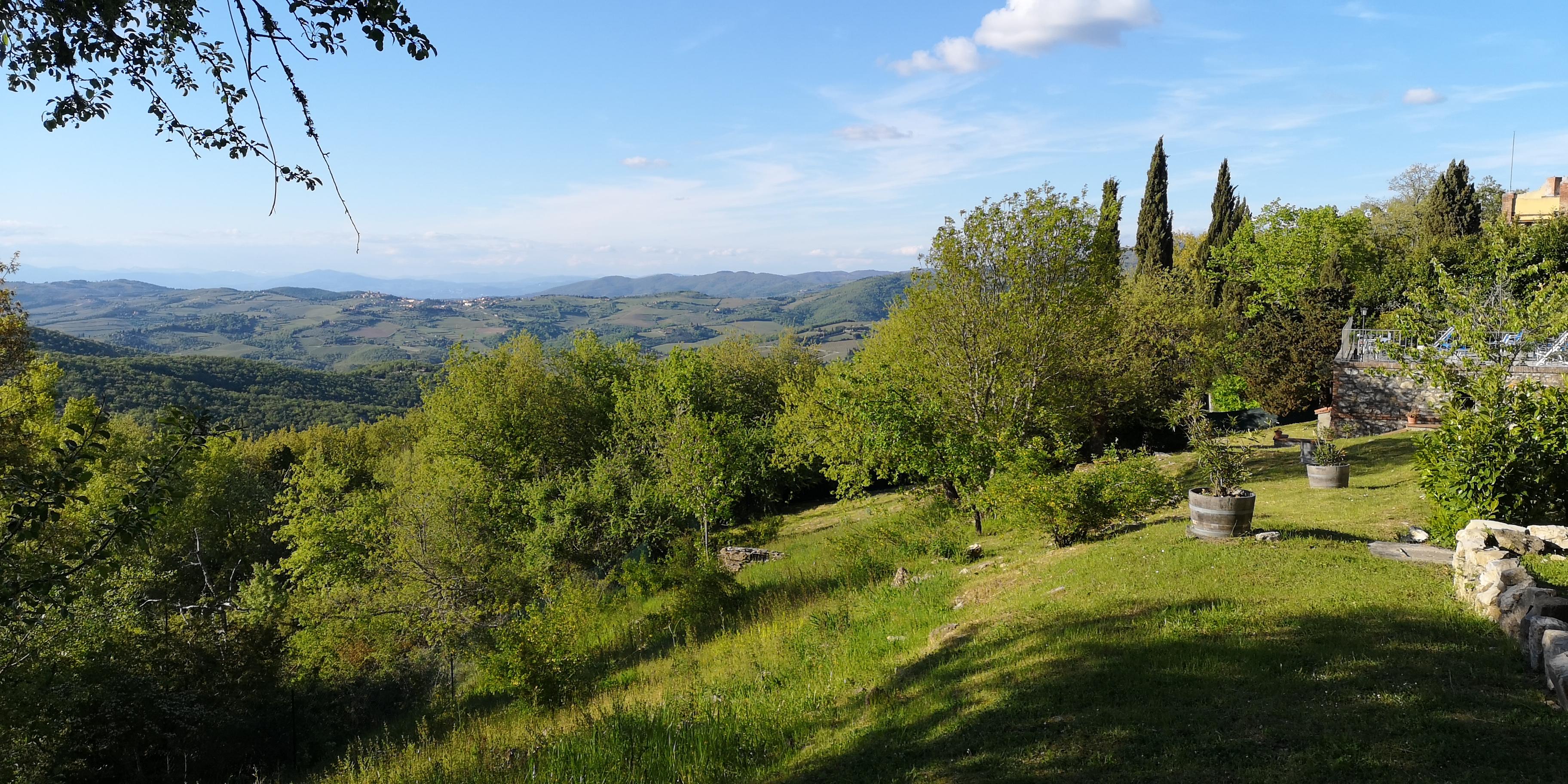 Villa Sant'Uberto Country Inn Radda in Chianti Εξωτερικό φωτογραφία